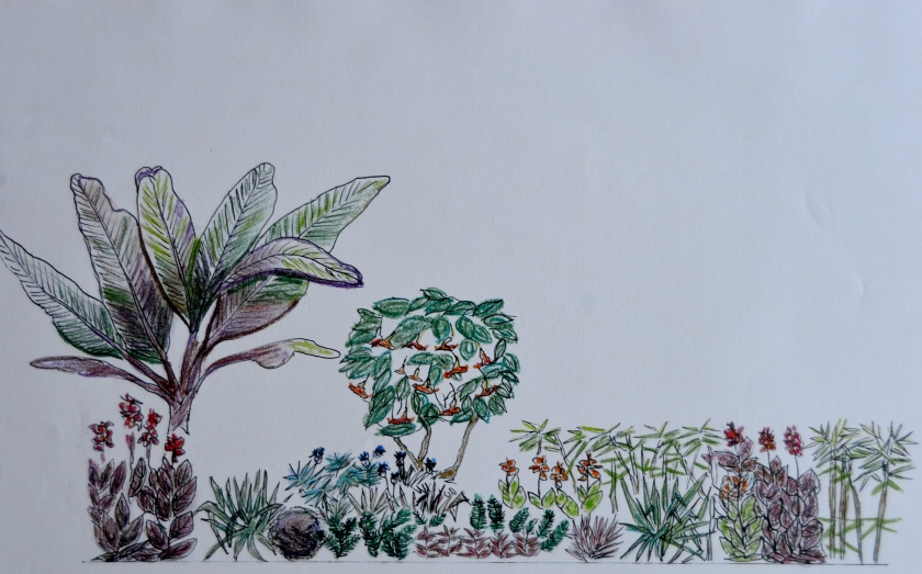 "Exotic" planting plan (Foto bloomline)